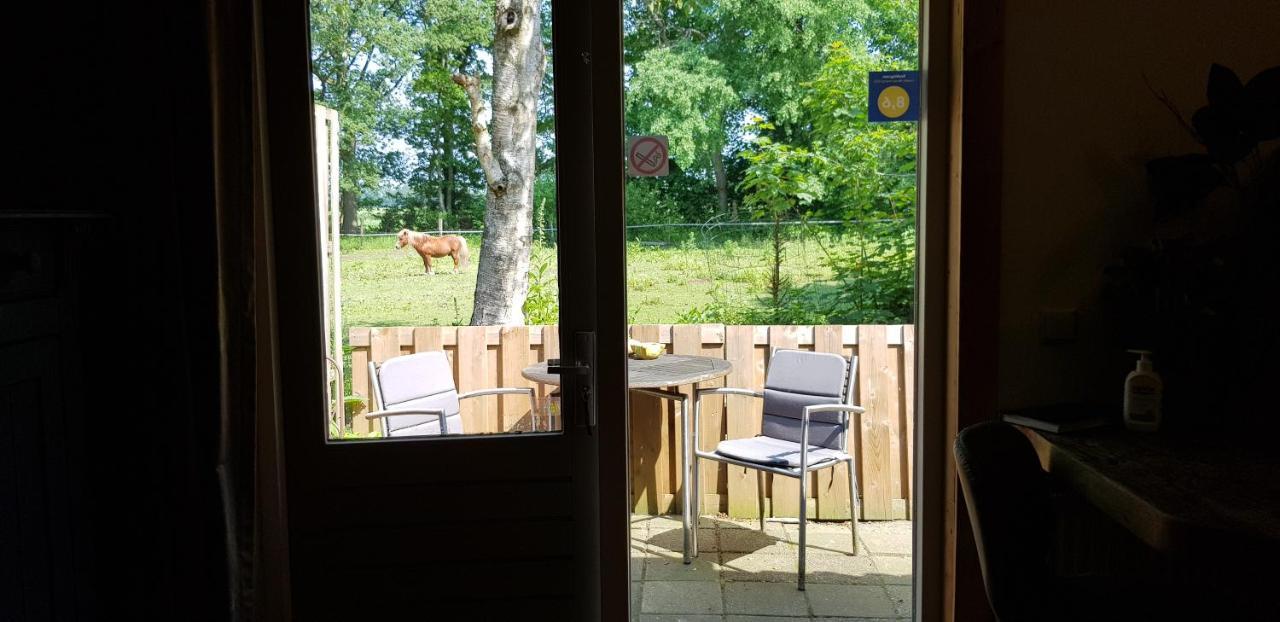 Rust En Stilte In De Natuur Onstwedde Esterno foto