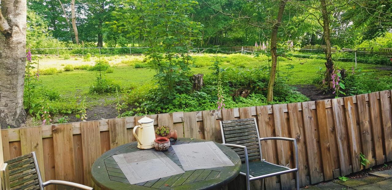Rust En Stilte In De Natuur Onstwedde Esterno foto